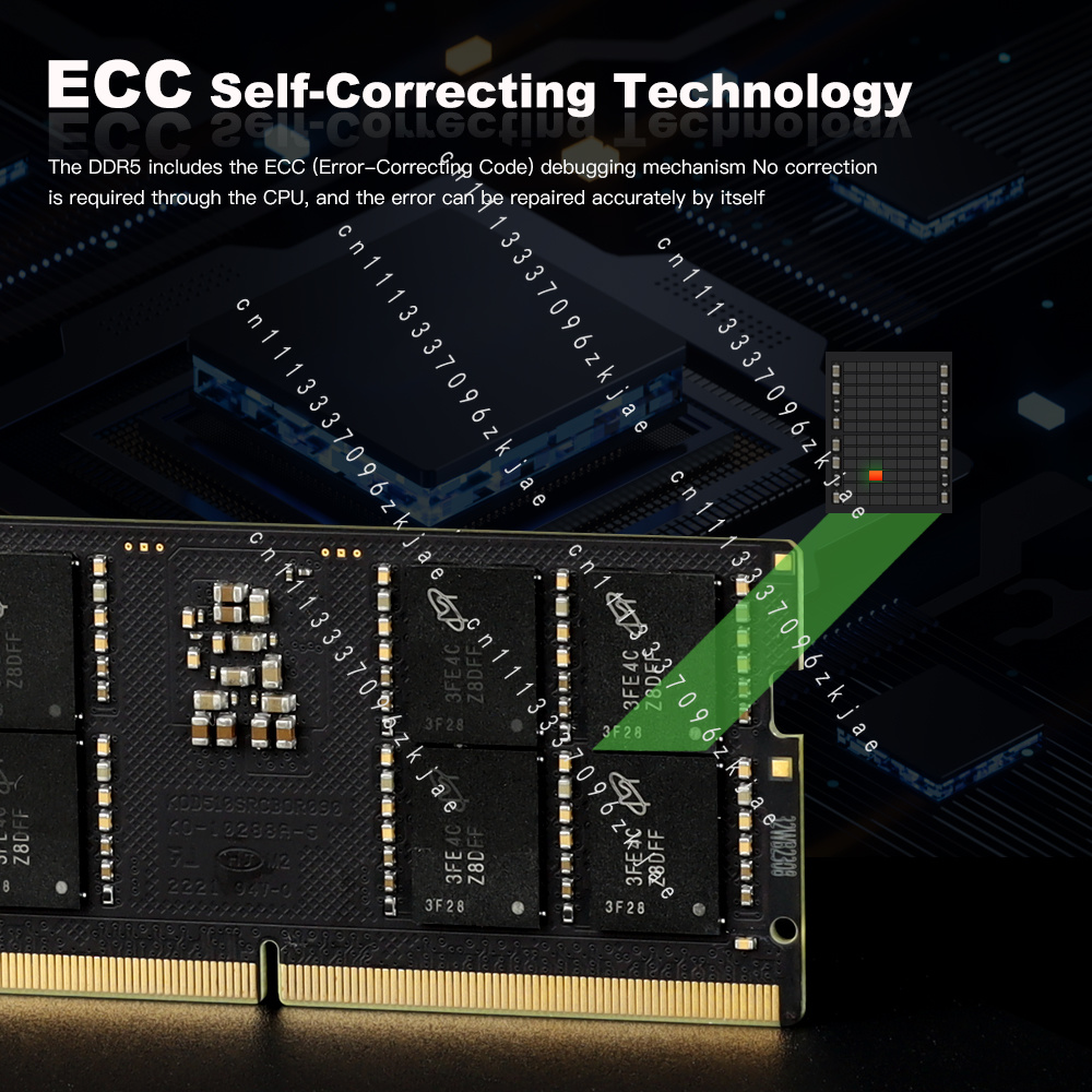 RAM DDR5 Berkualitas Tinggi 8G - Ddr5 8Gb ulasan dan harga